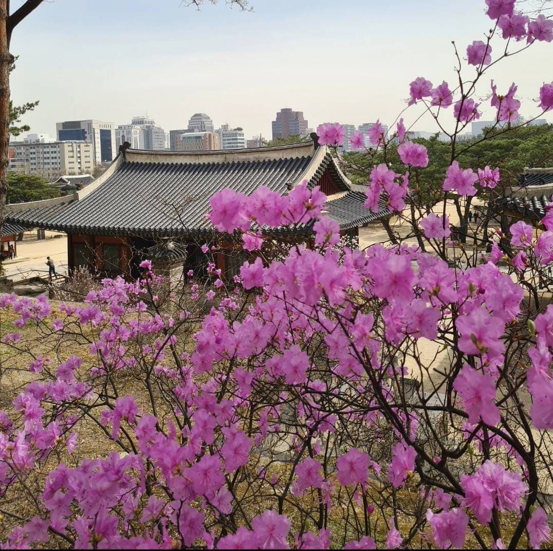 Seoul 1